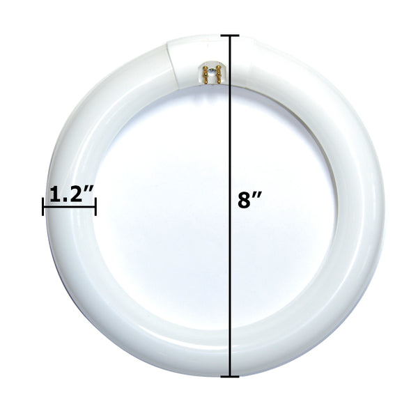 Circolina LED Extrastar 14W (22W) 6500K G10q.