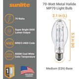 Sunlite - 03641-SU - BulbAmerica