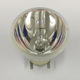 Eiki EIP-XSP2500 Bulb Projector Lamp with Original OEM Bulb Inside - BulbAmerica