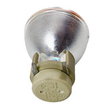 Viewsonic - 69806-BULB_15 - BulbAmerica