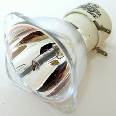 Philips UHP 260W 1.0 E20.6 Amo 9281 680 05391 Original Projector Bulb