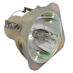 Acer EC.J2101.001 Projector Bulb - Philps OEM Projection Bare Bulb