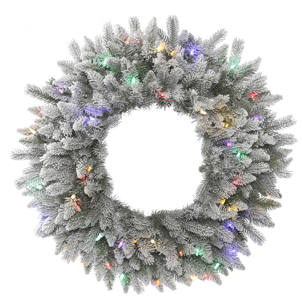 24in. Frosted Sable Pine Wreath Iridescent Glitter 50 Multi LED Lights