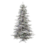 Vickerman 7.5F Sierra Fir Artificial Christmas Tree Multi-Colored LED lights