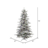 Vickerman 7.5F Sierra Fir Artificial Christmas Tree Multi-Colored LED lights_3