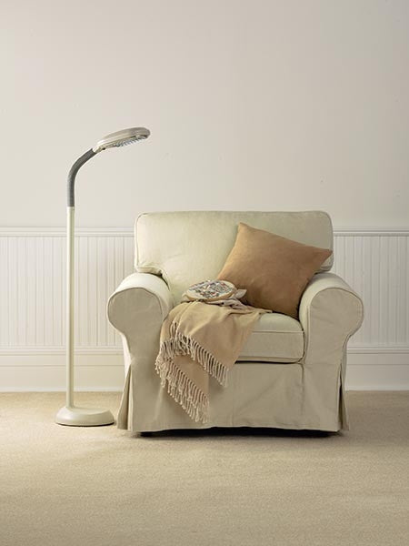 Verilux Natural Spectrum Deluxe 27 Watt  Floor Lamp - Graphite