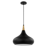 Phoenix 1-Light Medium Pendant Matte Black with Burnished Brass