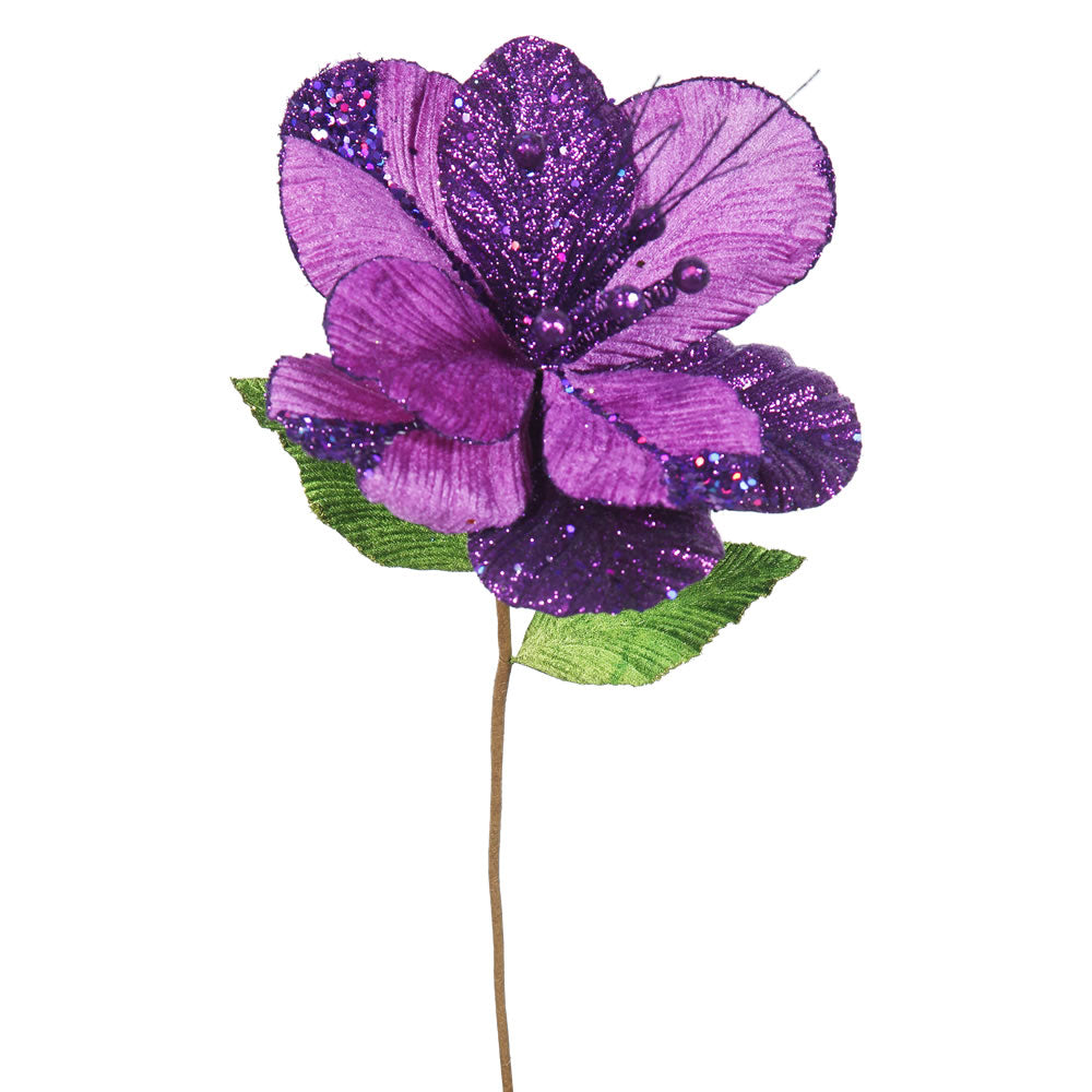 purple amaryllis flowers